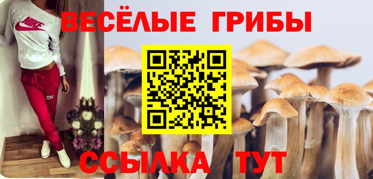 Псилоцибиновые грибы прущие грибы  Вход с VPN  Соликамск 